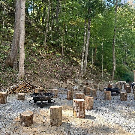 Cozy Cove Retreat W Lake View Hot Tub Firepit Dandridge Exterior foto
